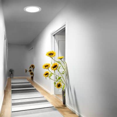 Application-Hallway-Sun Tunnel-Sun Flowers-3009-0621 (1)